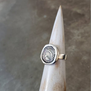 Rainbow Wax Seal Ring - Remember the promise