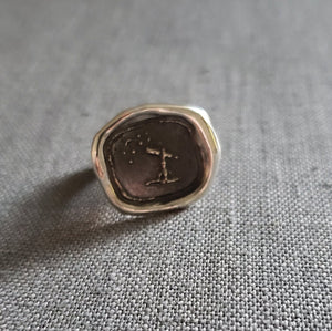 Dream Big - Look to the stars - Wax seal ring