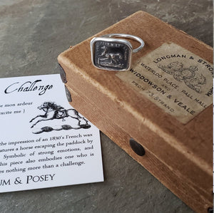 Challenge Horse - Skinny Stacking Ring