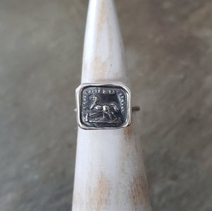 Challenge Horse - Skinny Stacking Ring