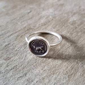 Faithful - Skinny Whimsy Ring
