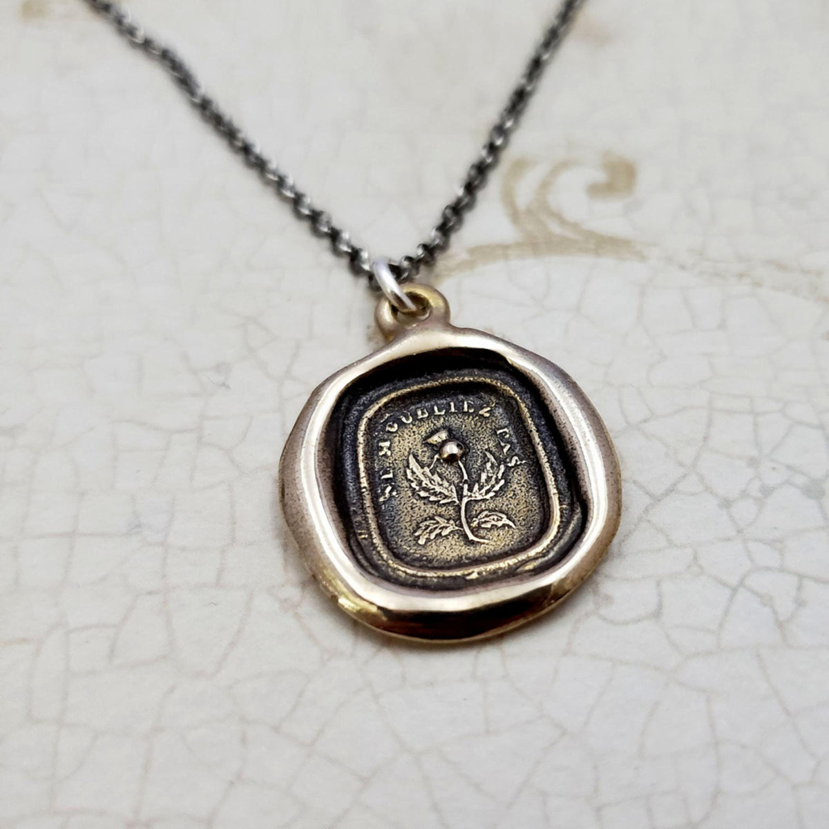 Scottish Thistle - Do Not Forget Me - Dinna Forget in bronze