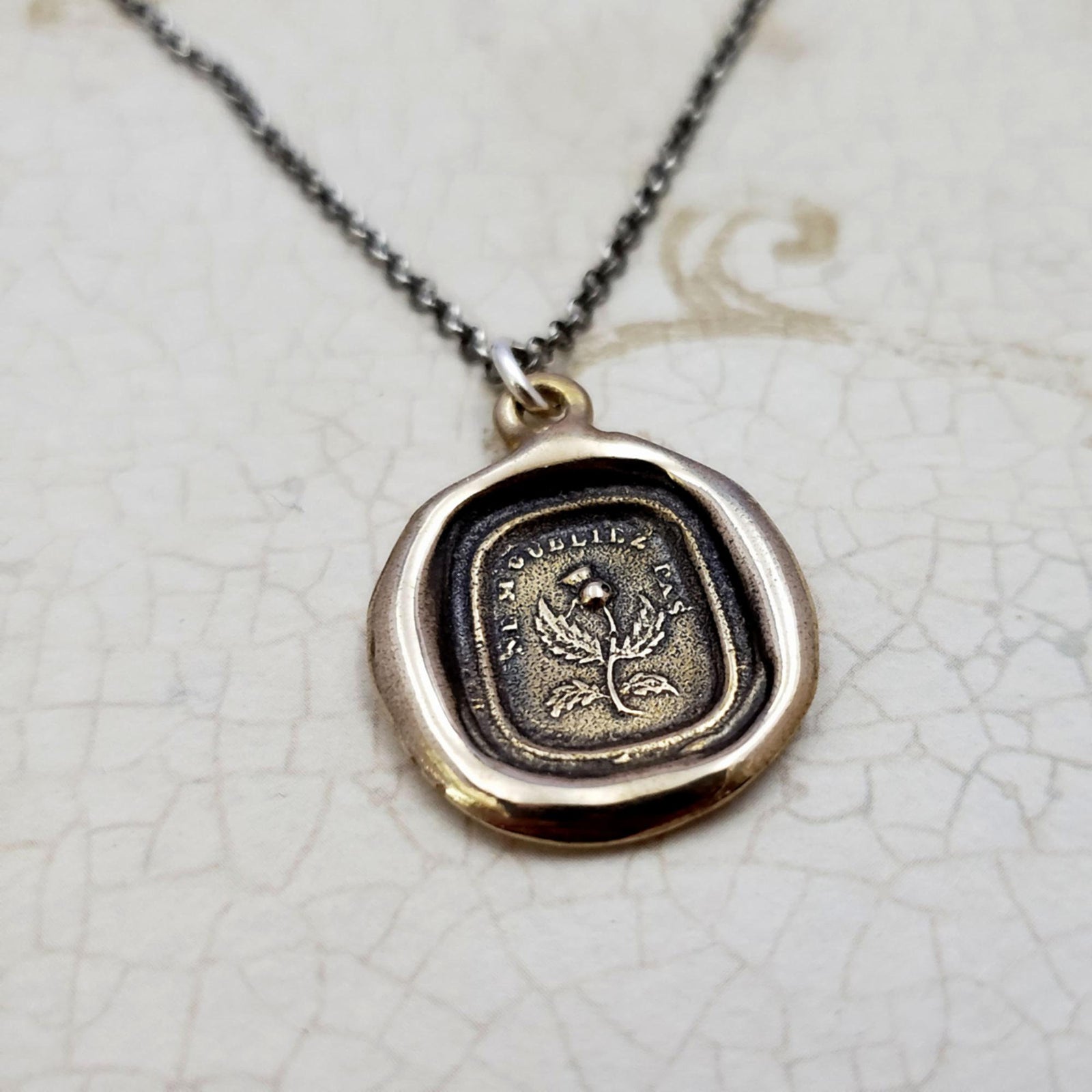 Scottish Thistle - Do Not Forget Me - Dinna Forget in bronze