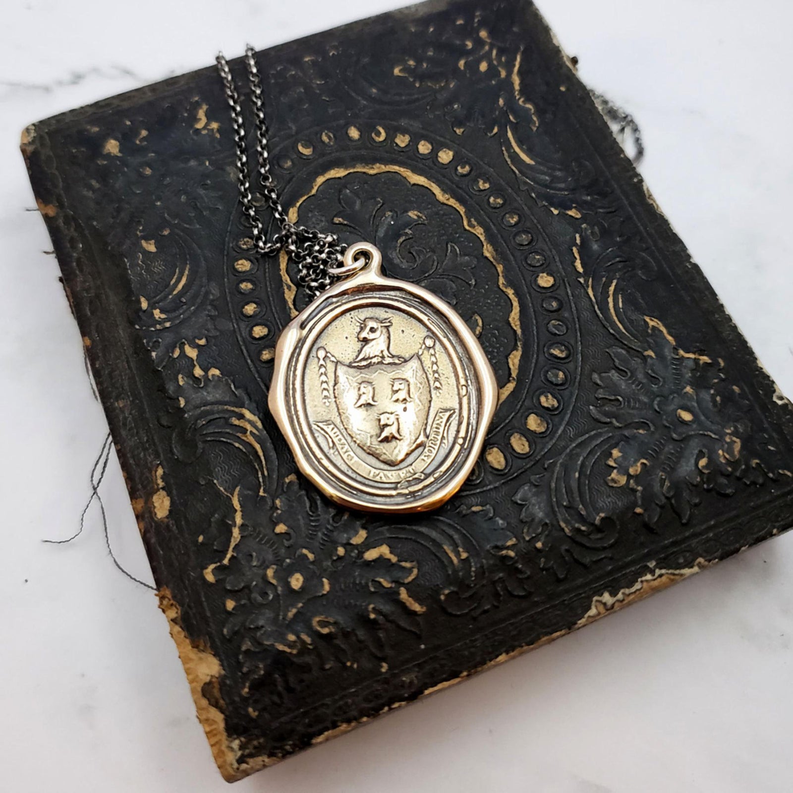 Fortune Favors the Brave Necklace in Bronze