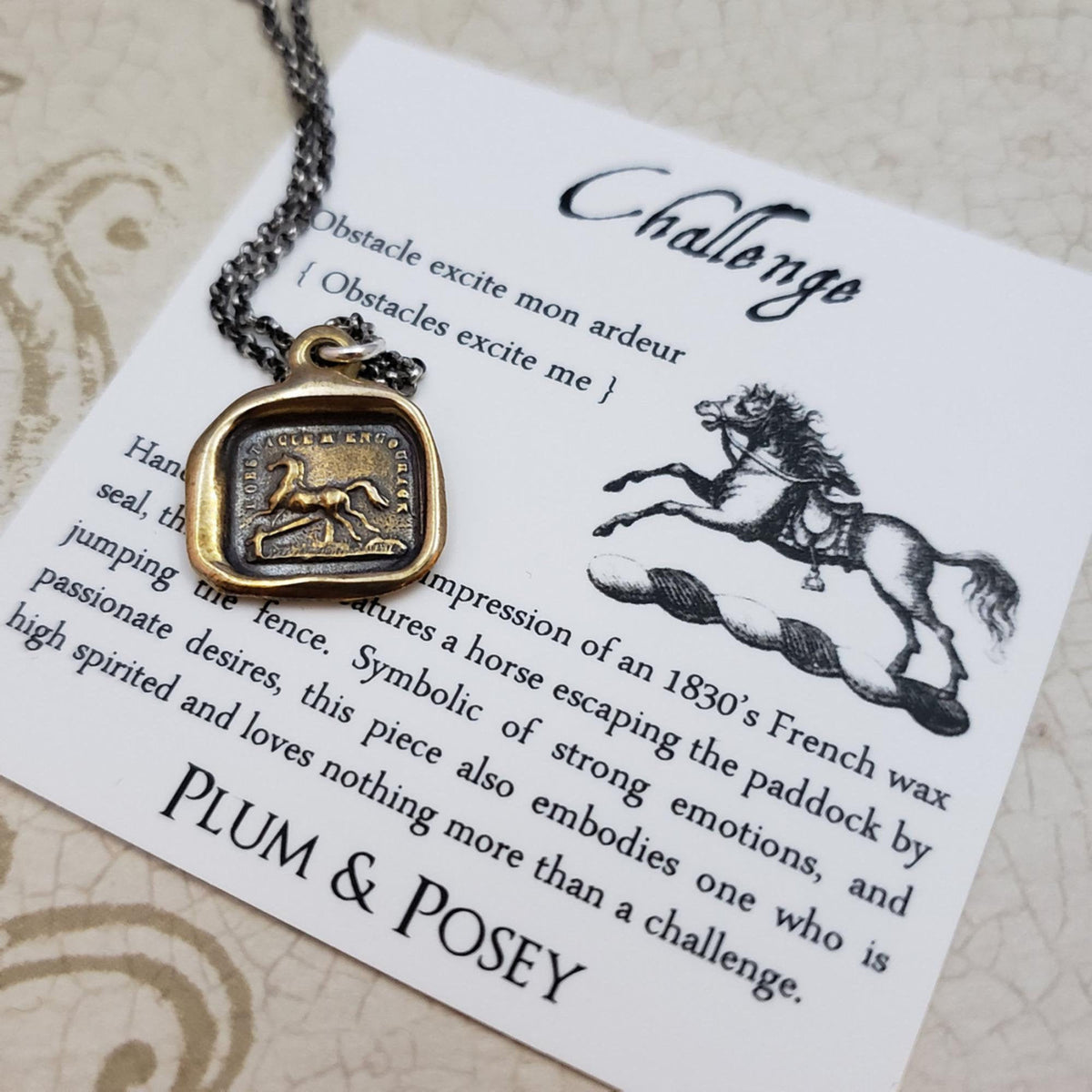 Horse necklace &#39;don&#39;t fence me in&#39; in Bronze