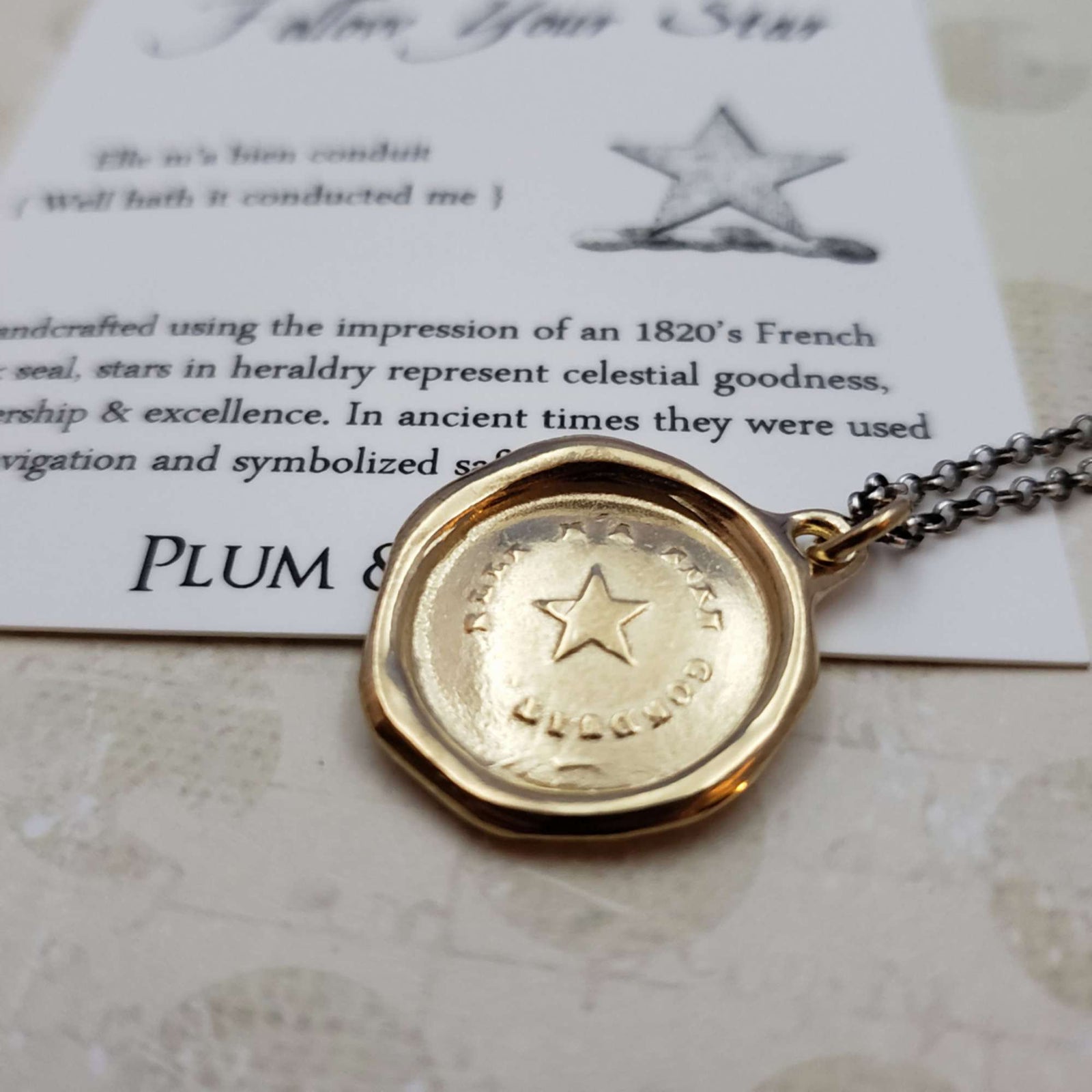 Follow Your Star Necklace in Gold Vermeil