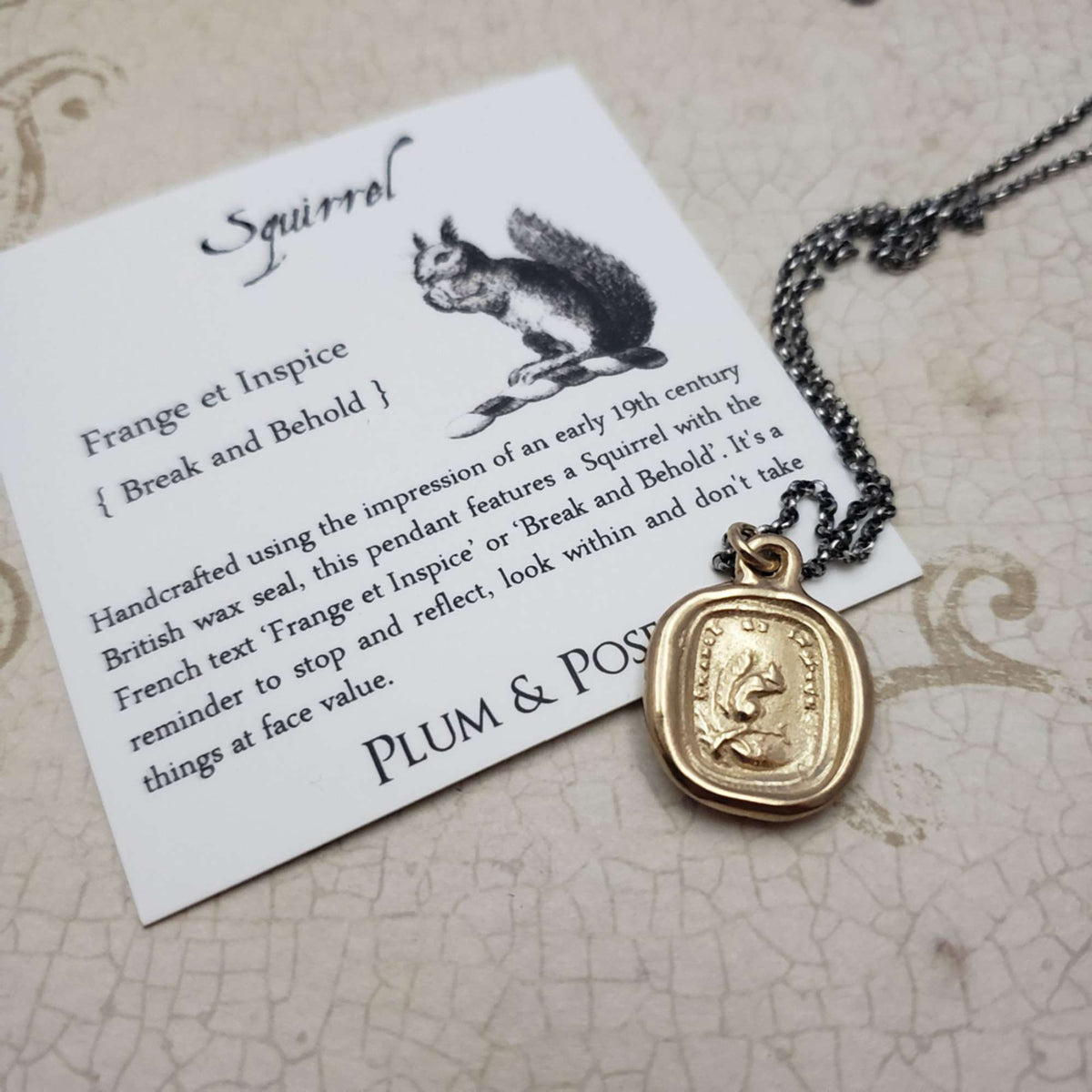 Squirrel - Look Within - Break and Behold in Gold Vermeil