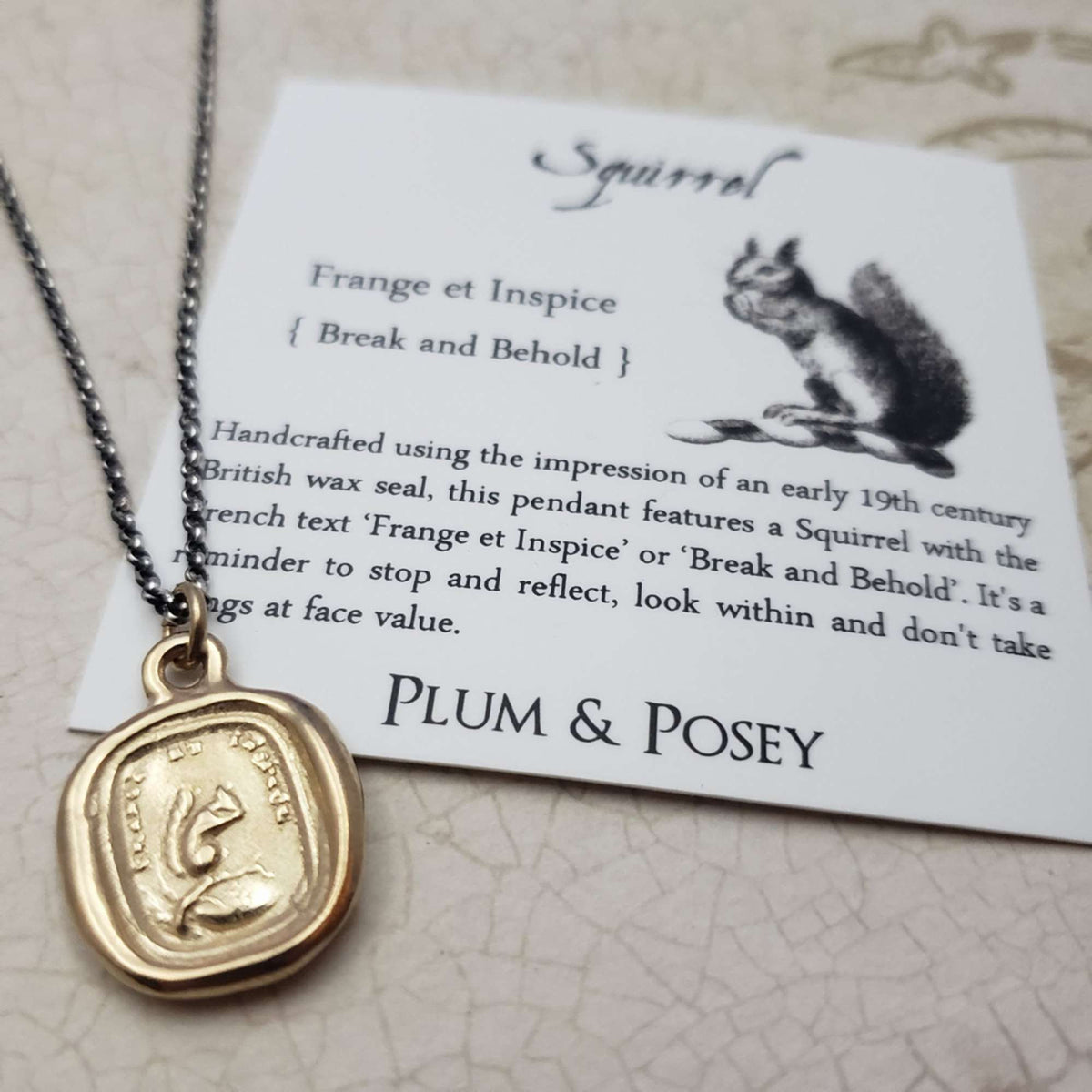 Squirrel - Look Within - Break and Behold in Gold Vermeil