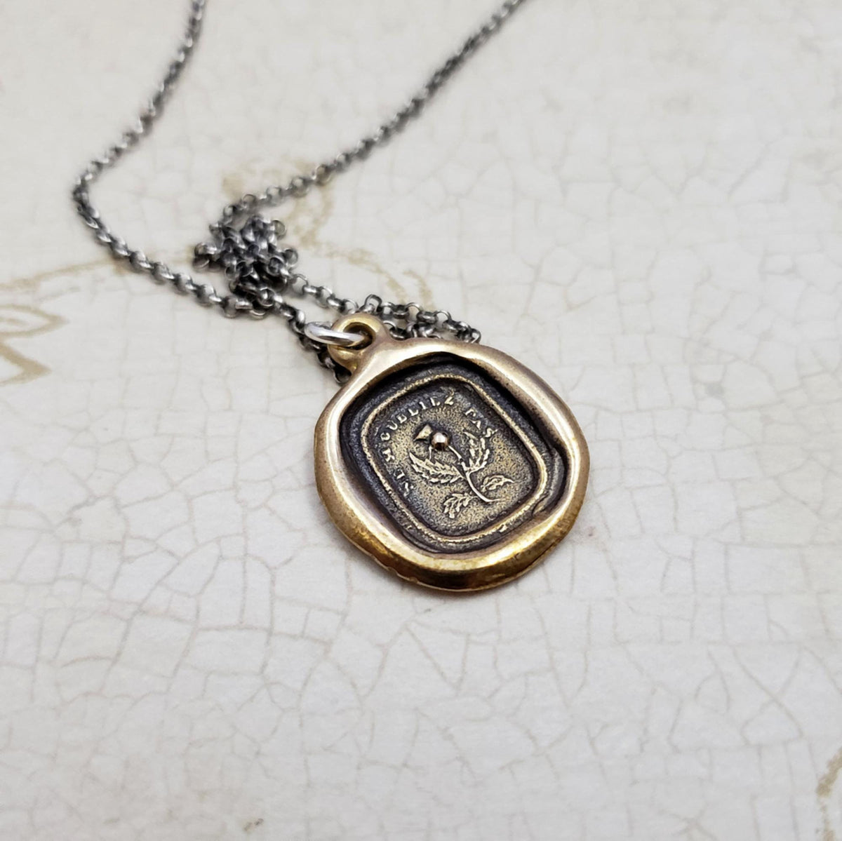 Scottish Thistle - Do Not Forget Me - Dinna Forget in bronze