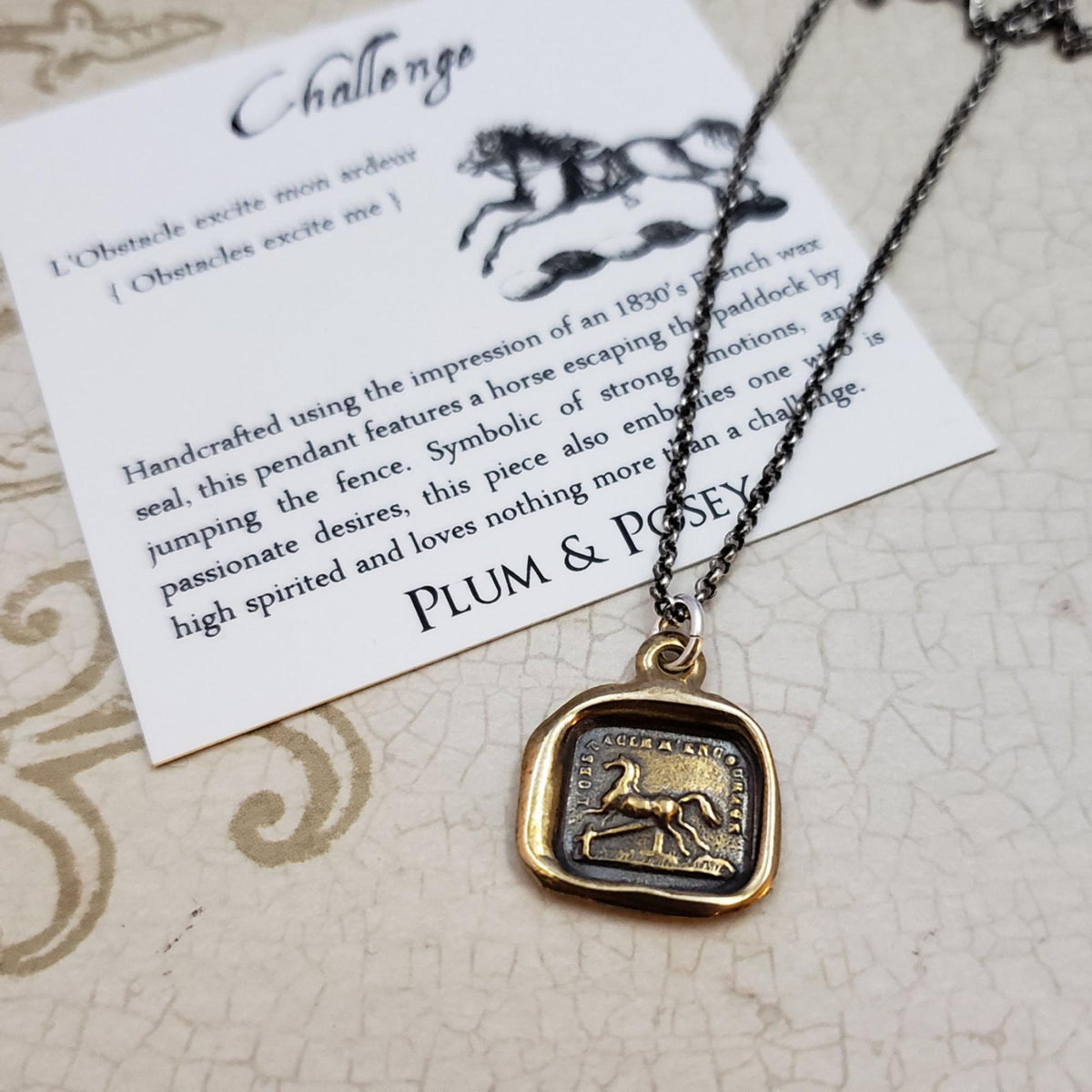 Horse necklace &#39;don&#39;t fence me in&#39; in Bronze