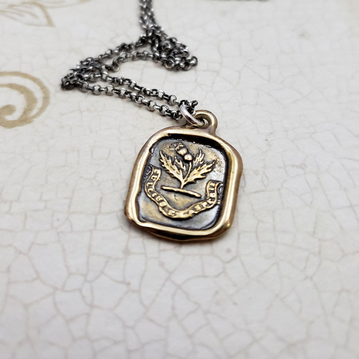 Sweeter after difficulties Thistle necklace in Bronze