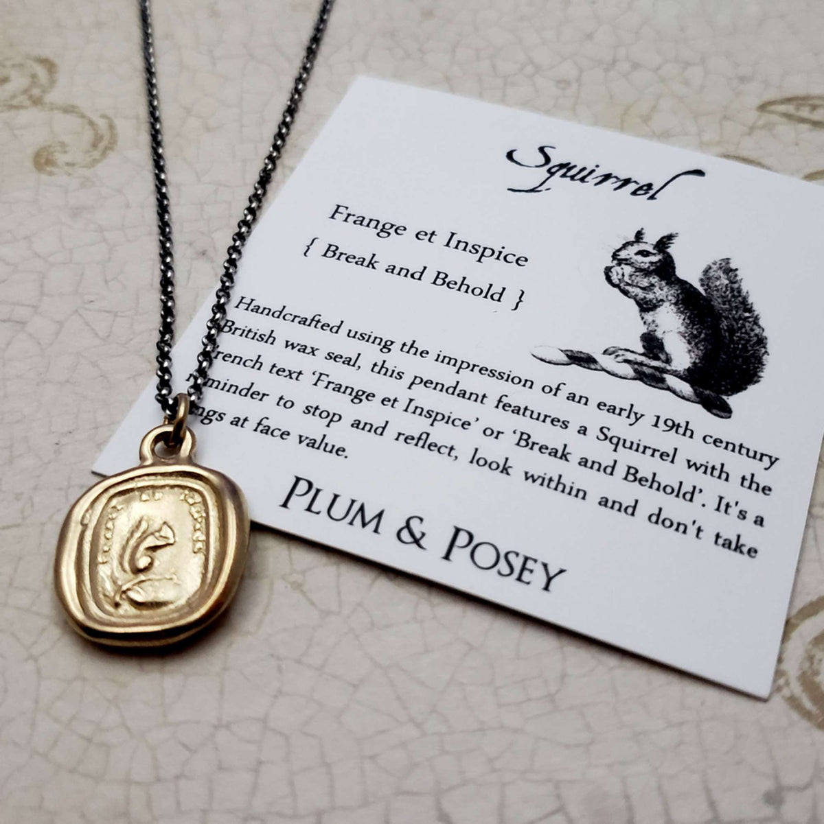 Squirrel - Look Within - Break and Behold in Gold Vermeil