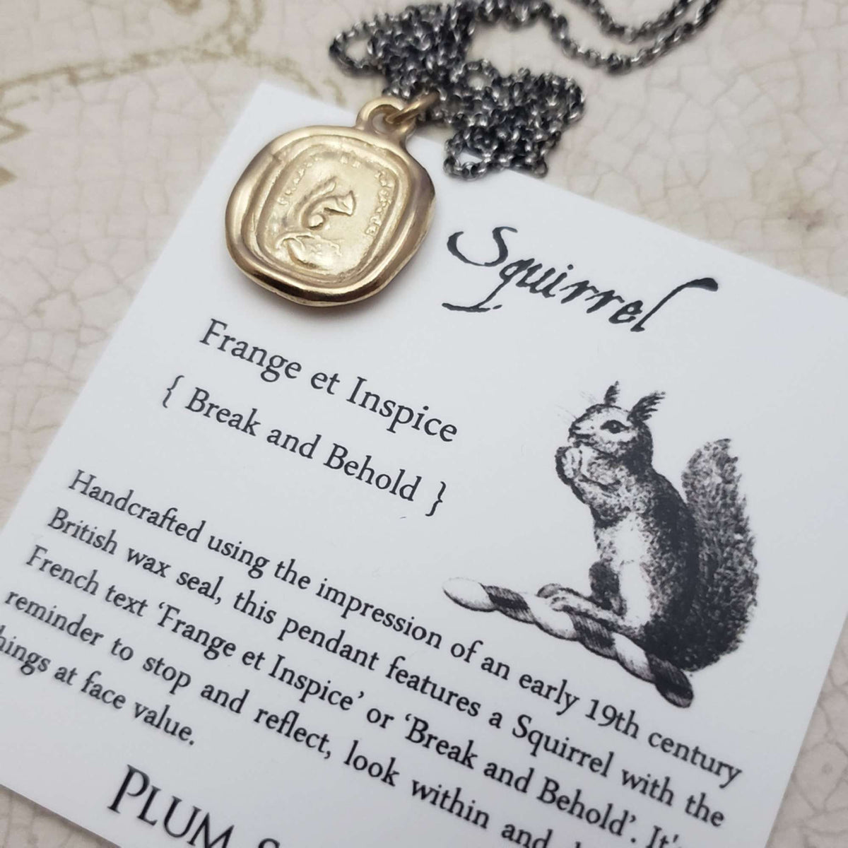 Squirrel - Look Within - Break and Behold in Gold Vermeil