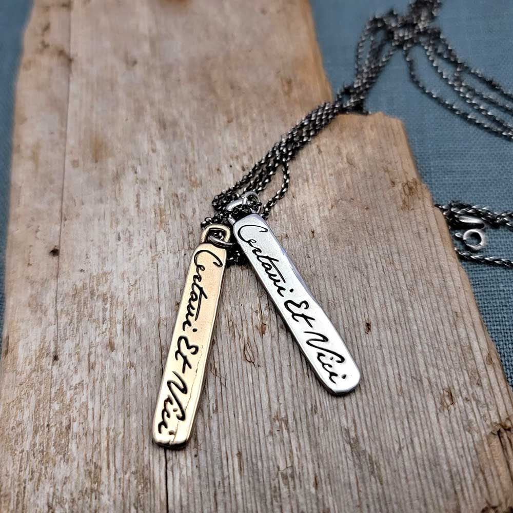 Certavi et Vici - I have fought and conquered