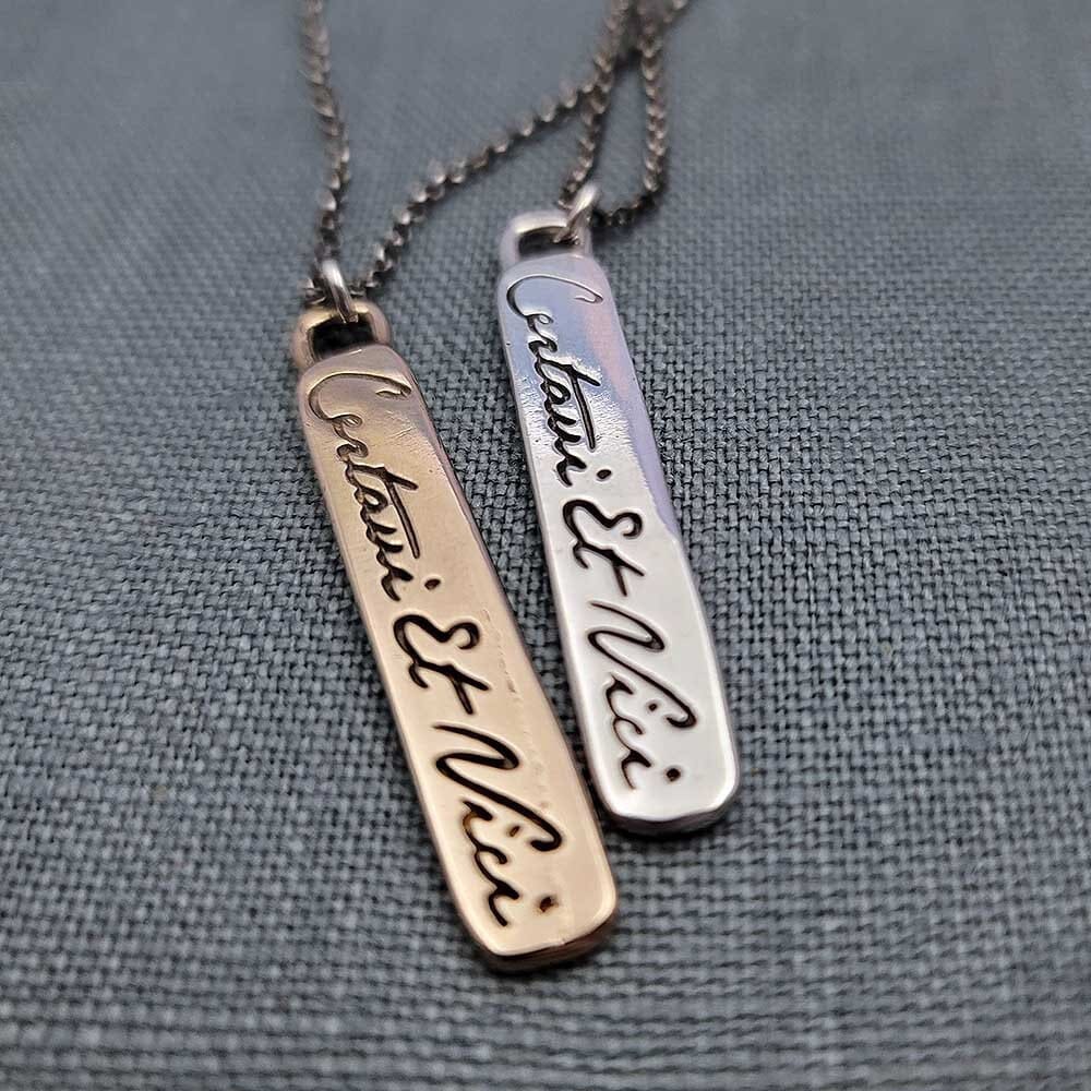 Certavi et Vici - I have fought and conquered