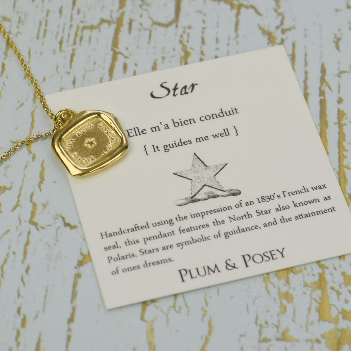 Guiding Star in Gold Vermeil