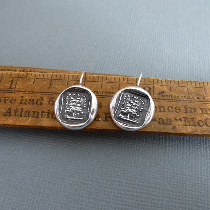 Grow don&#39;t change wax seal earrings in Italian